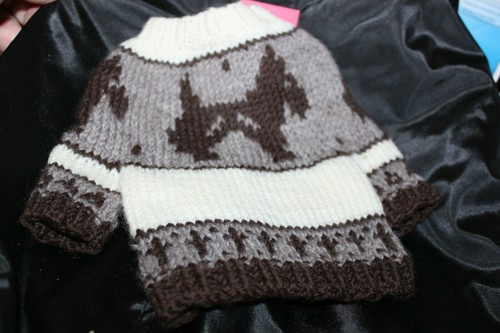 Urban pup fashion - pup,