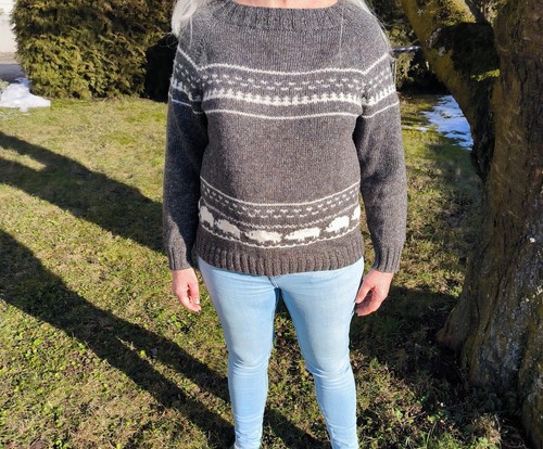 Damenpullover selbst - 42,