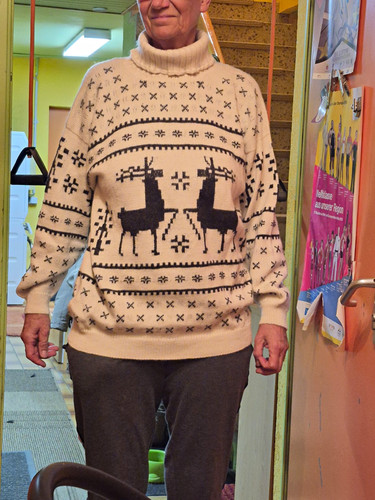 Alpaca unisex rollkragen - unisex,